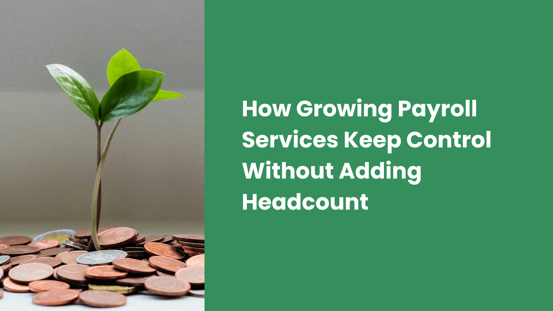 How Growing Payroll Services Keep Control Without Adding Headcount