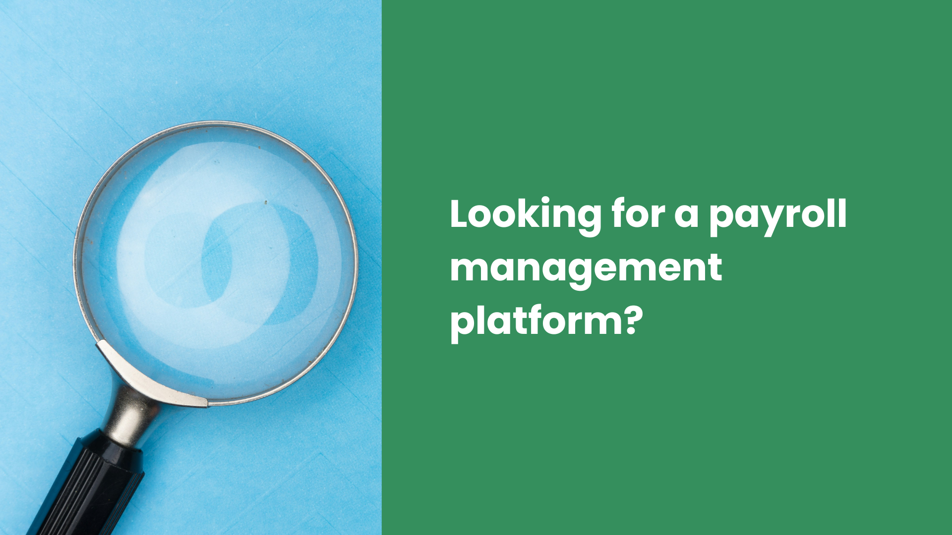 Looking for a Payroll Management Platform