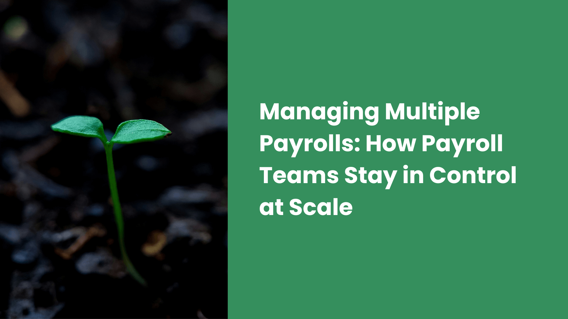 Managing Multiple Payrolls: How Payroll Teams Stay in Control at Scale