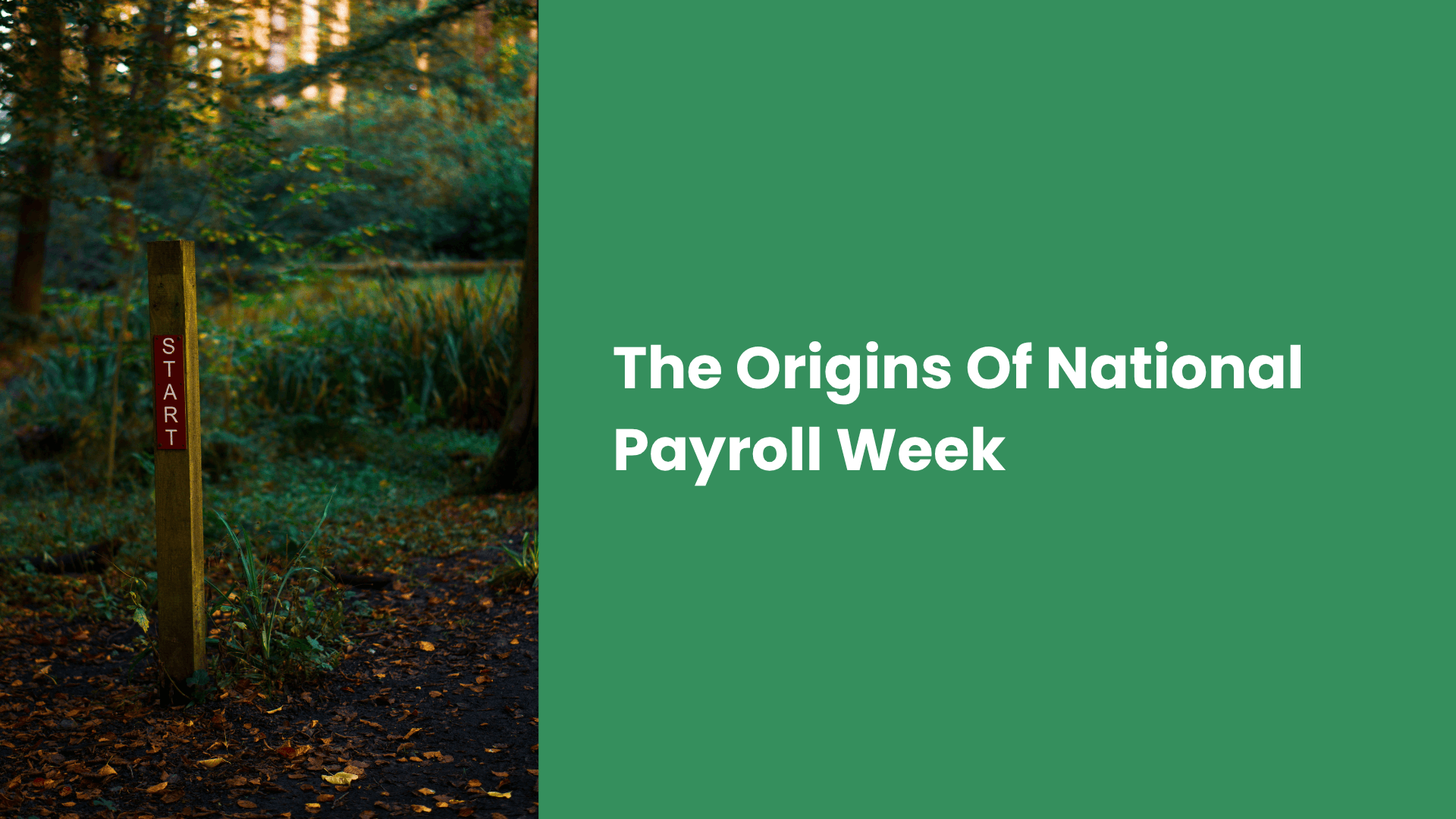 National Payroll Week: Its Origins and Why It Exists