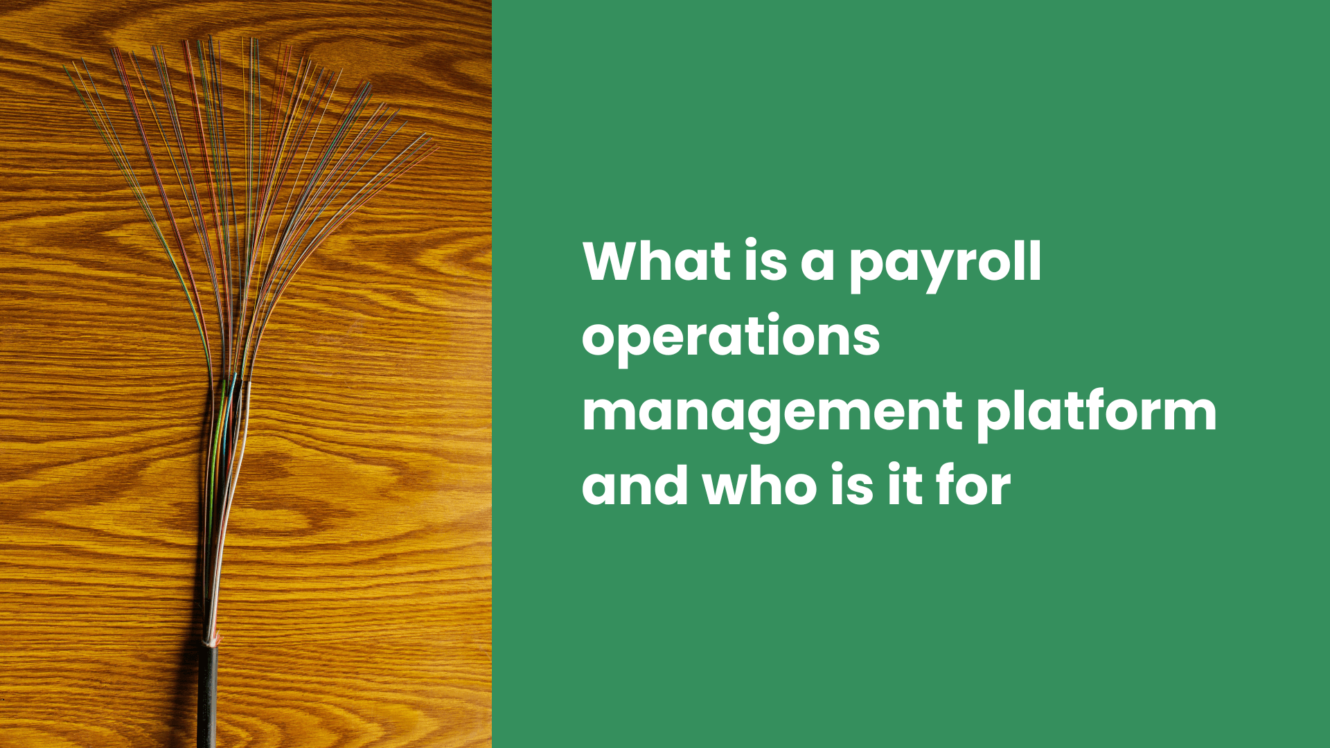 What is a payroll operations management platform and who is it for