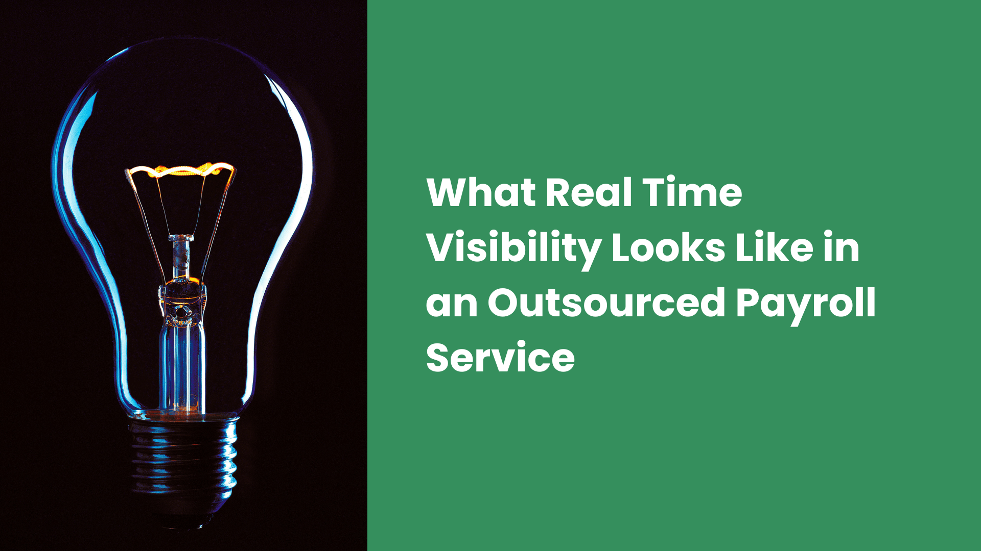 What Real Time Visibility Looks Like in an Outsourced Payroll Service